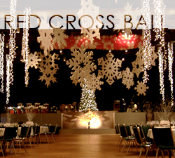 Red Cross Ball Project